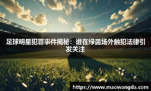 足球明星犯罪事件揭秘：谁在绿茵场外触犯法律引发关注