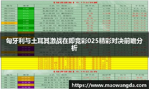 匈牙利与土耳其激战在即竞彩025精彩对决前瞻分析