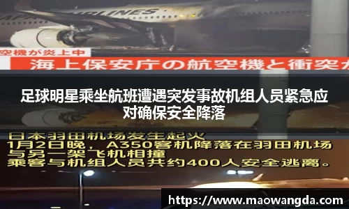 伟德国际victor1946官网